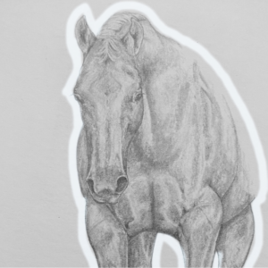 Auras by FIT by Animals