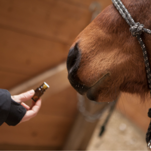 Aromatherapy by FIT for Animals